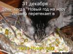 Лучшие матрицы