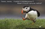 Лучшие матрицы