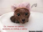 Лучшие матрицы