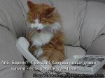 Лучшие матрицы