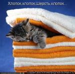 Лучшие матрицы