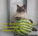 Лучшие матрицы