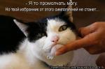 Лучшие матрицы