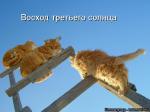 Лучшие матрицы