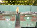 Лучшие матрицы