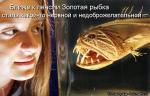 Лучшие матрицы