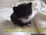 Лучшие матрицы