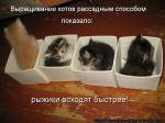 Лучшие матрицы
