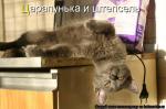 Лучшие матрицы