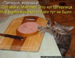 Лучшие матрицы