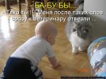 Лучшие матрицы