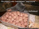 Лучшие матрицы