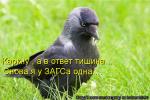 Лучшие матрицы