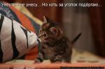 Лучшие матрицы