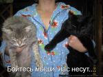 Лучшие матрицы