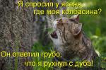 Лучшие матрицы