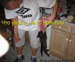 Лучшие матрицы