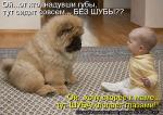 Лучшие матрицы