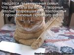 Лучшие матрицы