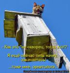 Лучшие матрицы