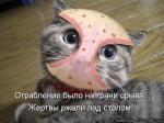 Лучшие матрицы