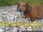 Лучшие матрицы