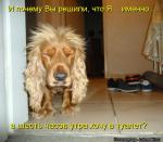 Лучшие матрицы