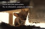 Лучшие матрицы
