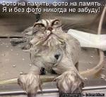 Лучшие матрицы