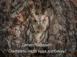 Лучшие матрицы