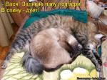 Лучшие матрицы