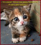 Лучшие матрицы