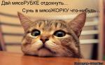 Лучшие матрицы