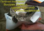 Лучшие матрицы