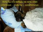 Лучшие матрицы