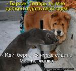 Лучшие матрицы