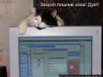 Лучшие матрицы