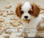 Лучшие матрицы