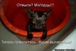 Лучшие матрицы