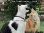Лучшие матрицы