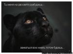 Лучшие матрицы