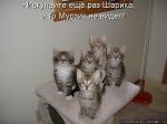 Лучшие матрицы