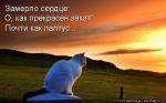 Лучшие матрицы