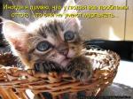Лучшие матрицы