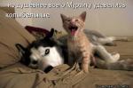 Лучшие матрицы