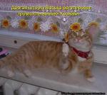 Лучшие матрицы