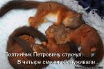 Лучшие матрицы