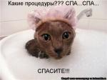 Лучшие матрицы