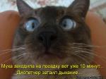 Лучшие матрицы