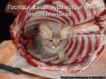 Лучшие матрицы